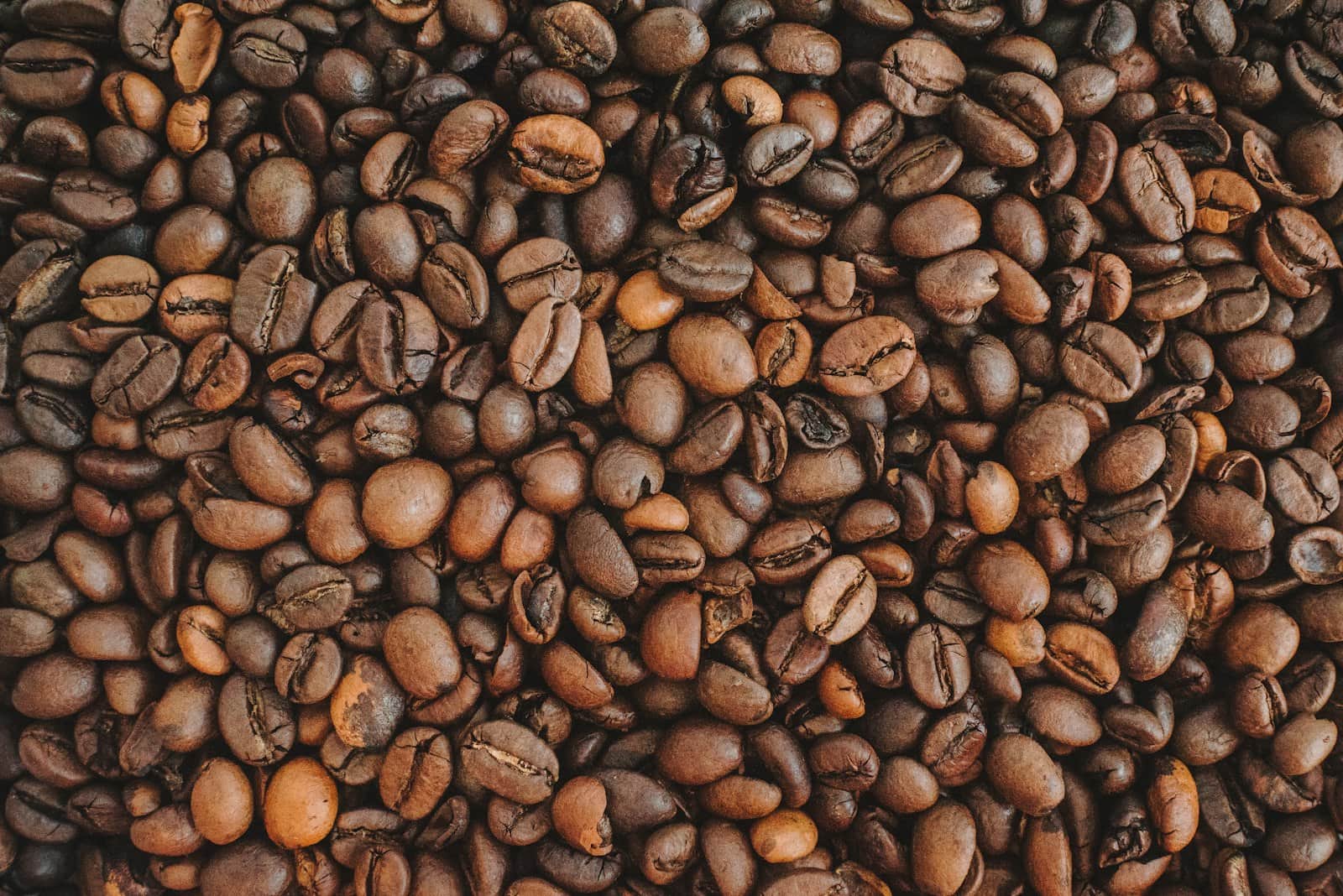 Sveže pržena kafa